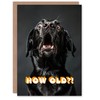 Artery8 Birthday Card Shocked Black Labrador Dog Photo How Old