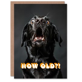 Artery8 Birthday Card Shocked Black Labrador Dog Photo How Old Funny Joke For Him Her Man Woman Girl Boy Wife Husband Greeting Card