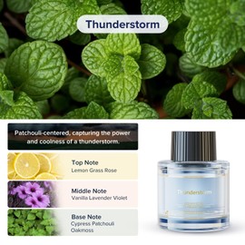 Ceeniu Car Air Fresheners - F26/CF12/F39 Dedicated Perfume Refill - 45ml - Can be Used for 2~6 Months - Made with Natural Plant Extracts - French Imported Fragrance - 17 Varied Scents Available