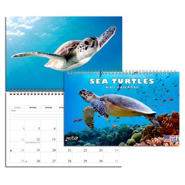 2026 Spiral-bound Wall Calendar (Sea Turtles) - 12 Months Desktop/Wall Calendar/Planner (11x17)
