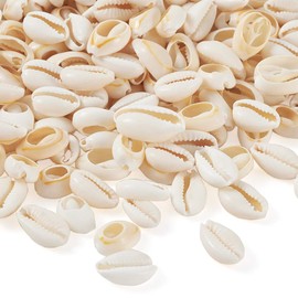 Craftdady 500g Natural Cowrie Shell Beads Sea Shells Beach Seashells Spiral Shells Charms Beads with No Hole for Fish Tank Vase Filler Jewellery Making