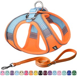AIITLE No Pull Dog Harness and Leash Set, Step in Adjustable Dog Harness with Padded Vest for All Weather, Dog Leash with Soft Padded Handle, Easy to Put on Small and Medium Dogs Orange S