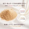 VINTORTE Silk Mineral Foundation Powder Foundation Mineral Foundation Vantelte Highlight
