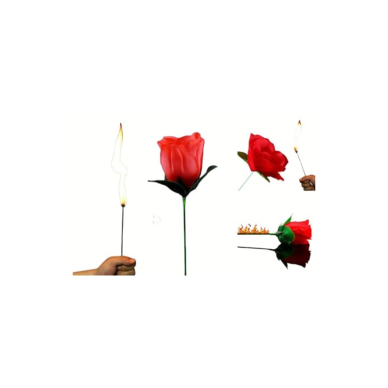 Yeahgoshopping The Torch to Rose Magic Trick – A Mesmerizing