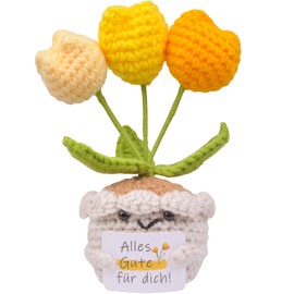 Mwmoeen Positive Pocket Hug Häkeln Tulpen Puppe Glücksbringer Geschenk, Mini Gehäkelte Blumen Stricken Spielzeug mit Nachrichtenkarte, Kleines Dankeschön Geschenk für Freunde Familie und Kollegen