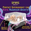 Spore Sorcery Medium Beginners Mushroom Grow Kit | Indoor Grow