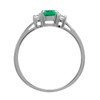 Silvershake Petite Green Nano Emerald and White Cubic Zirconia 925