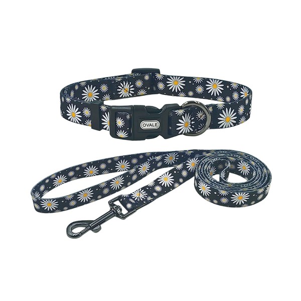 Ovale Dog Collar and Leash Combo Set, Daisy Floral Pattern,
