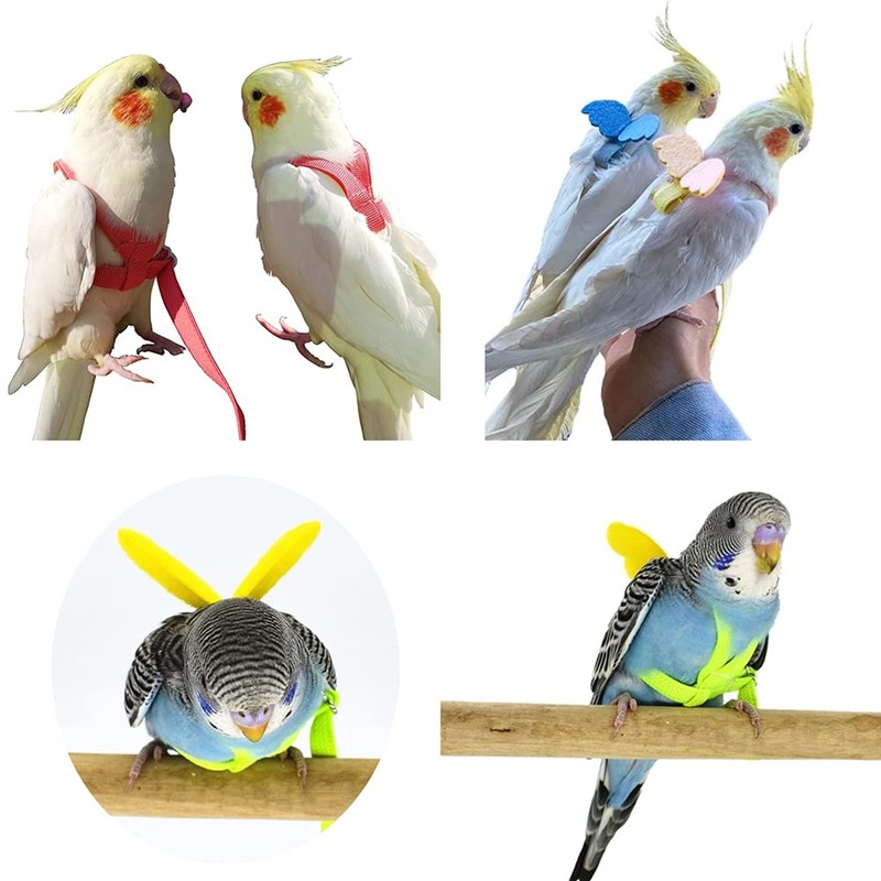 FORZENA Birds Adjustable Harness and Leash, Parrot Outdoor Flying Training
