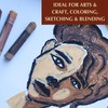 STAPLEDON ARTS Melanin Series Skin Tone Oil Pastels for Artists