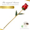 Miorose Eternal Rose Preserved Gold Dipped Forever Rose Golden 24k