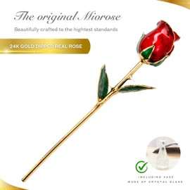Miorose Eternal Rose Preserved Gold Dipped Forever Rose Golden 24k Gold Genuine One of a Kind Eternity Rose - Romantic Gifts for Women Valentines Day Her Birthday Anniversary Mothers Day (A: Red)