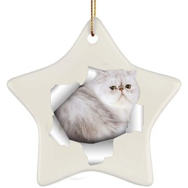 Funny Persian Cat White Grey Coming Out of Cracked Wall Gifts 2024 Christmas Tree Ornaments Ceramic Star