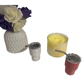 Stainless Steel Insulated mini tumblers, Set of 4 2 pink 2 white