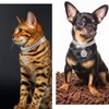 Hillban Cat Collar Diamond Chain Glitter Collar Walking Metal with