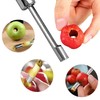 3 pieces, apple corer, fruit corer, apple corer remover, apple