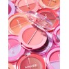 Amuse Lip and Cheek Healthy Balm / 립 앤 치크