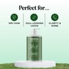 Degrease Shampoo for Oily Hair - Sulphate Free Deep Cleansing