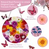 NATISERAUM Total 104Pcs Natural Pressed Dried Flowers and 40Pcs Butterflies