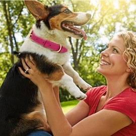 HSIGIO Leather Dog Collar for Small Medium and Large Dogs, Soft Padded Dog Leather Collar with Gold Buckle, Adjustable Genuine Leather Collars for Large Dogs(Hotpink, L)