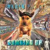 Dumbing Up[2 LP]