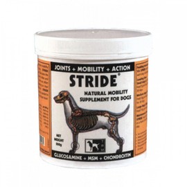 Stride Glucosamine Chondroitin MSM 150g Powder