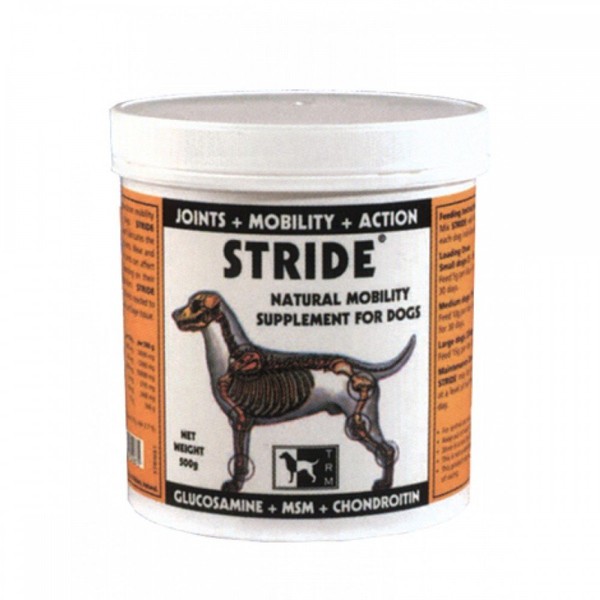 Stride Glucosamine Chondroitin MSM 150g Powder