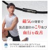 phiten(ファイテン) RAKUWA 磁気 ネックレス EXTREME トライバル ブラック 50cm【肩こり 改善】【首こり 改善】【血流改善】【ファイテン先端技術メタックス採用】メンズ