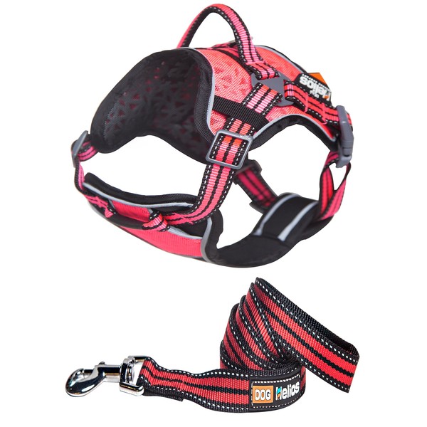 DOGHELIOS 'Journey Wander' Chest Compressive Sporty Adjustable Travel Pet Dog Harness and Leash Combination, Small, Pink