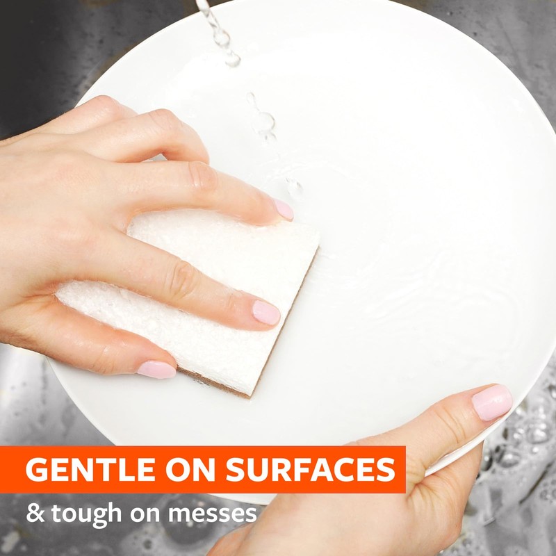 Full Circle Walnut Scrubber Sponges, Pack of 2 – Dual-Sided,