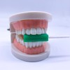 Orthodontics Chew for Invisalign Aligner Trays, 10 Chew, Mint Scented,