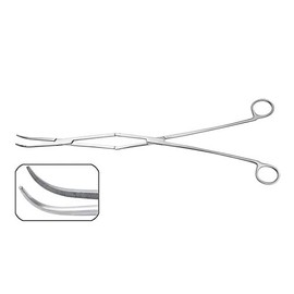 Periodontal Equine Dental Forceps Stainless Steel 41 Cm or 16.5" Long