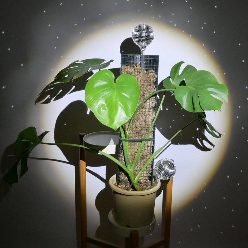 10ft/20ft/40ft DIY Metal Mesh Sphagnum Moss Pole Monstera Plant Support