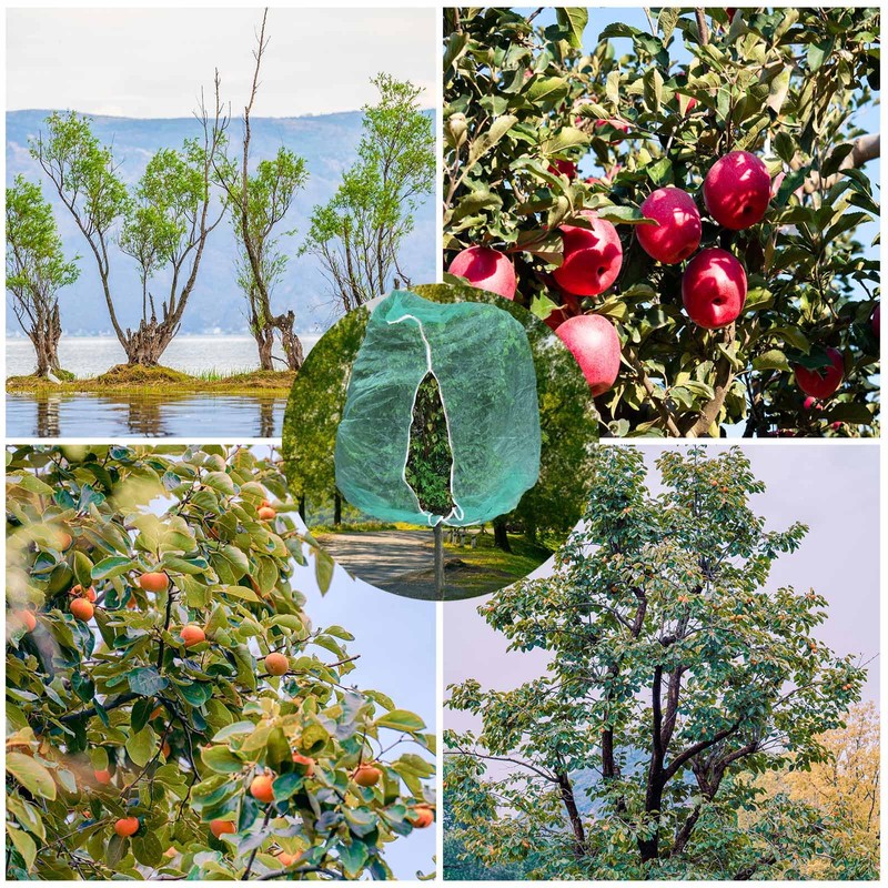 2pcs 10ftx10ft Large Fruit Tree Netting Bags, Bird Netting Cover