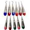Premium German SET OF11 Dental Elevator Extraction Extracting Tool Dental