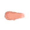 WYCON cosmetics Partner in Time Long Lasting Compact Blush, Compact