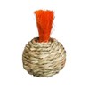 Prevue Pet Products Grassy Nibblers Squash Small Animal Chew Toy