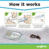 Advion Ant Gel Station - Effective Indoor & Outdoor Ant