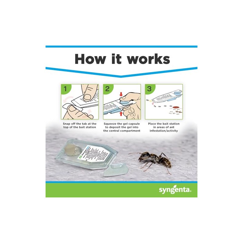 Advion Ant Gel Station - Effective Indoor & Outdoor Ant