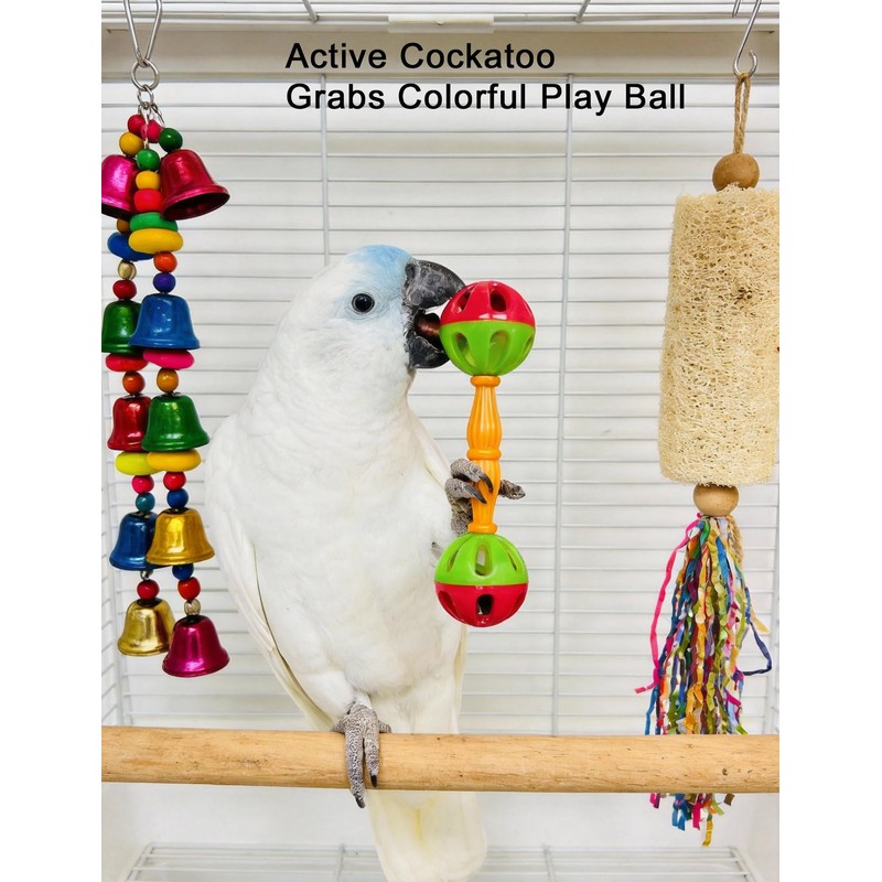 DIYUQISHI 12-Pack Bird Bell Ball Chew Toys, Non-Toxic PP, Cage