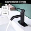 JAKARDA Single Handle Black Bathroom Faucet with Metal Drain Assembly