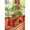 Clever Pots Easy Release Saucers, Earthenware, Terracotta, Medium/Large, 40 Units(8