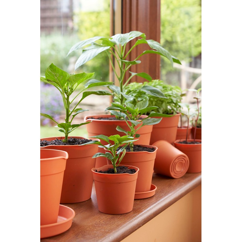 Clever Pots Easy Release Saucers, Earthenware, Terracotta, Medium/Large, 40 Units(8