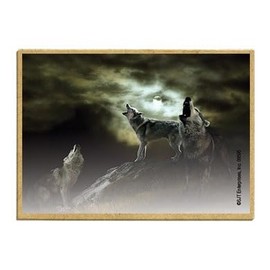 Wildlife Photography Magnet Series – Howling Wolves Rustic Nature Photography Magnets for Fridge, Office, Cooler, Cabin Decor 2.5 x 3.5 inch (SJT09595)