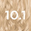 Garnier Nutrisse Permanent Hair Dye, Natural-looking, hair colour result, For