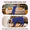 DENTRUN Cat Clothes for Hair Control with Hair Sticky Fabric