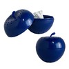 Bluapple One-Year Combo Pack with Activated Carbon Freshness Balls to