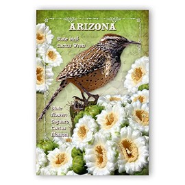 ARIZONA BIRD AND FLOWER postcard set of 20 identical postcards. AZ state symbols post cards. Made in USA.