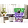 Miracle-Gro African Violet Potting Mix, 8 qt.