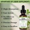 Chlorophyll Liquid Drops – Vegan Body Deodorant & Gut Health
